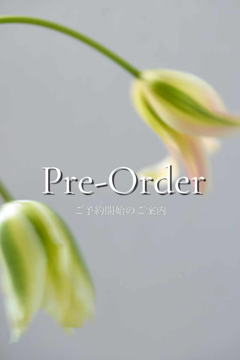 2026ミッドサマー【先行予約のご案内】オアーノの特別なお客様へ